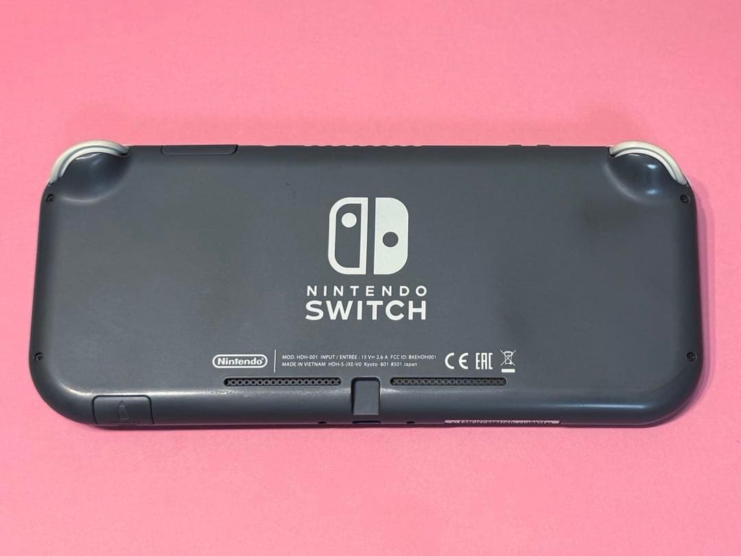 Nintendo Switch Lite グレー 本体 箱 充電器