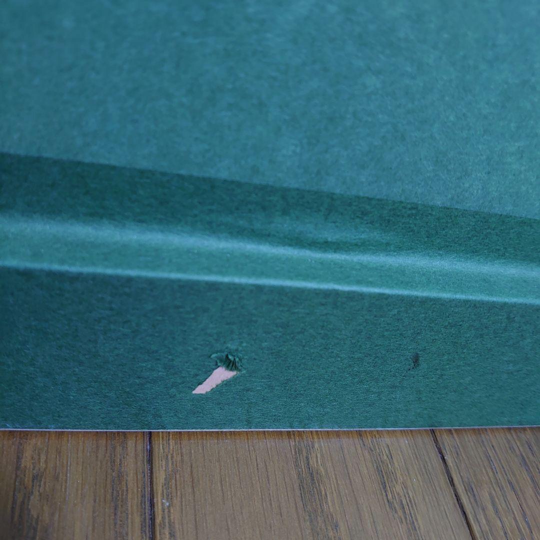 【5000円値下げ】トレンツ・リャド「アルファビア庭園」遺族サイン