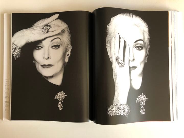 HARRY WINSTON 写真集 RIZZOLI 2012 大判