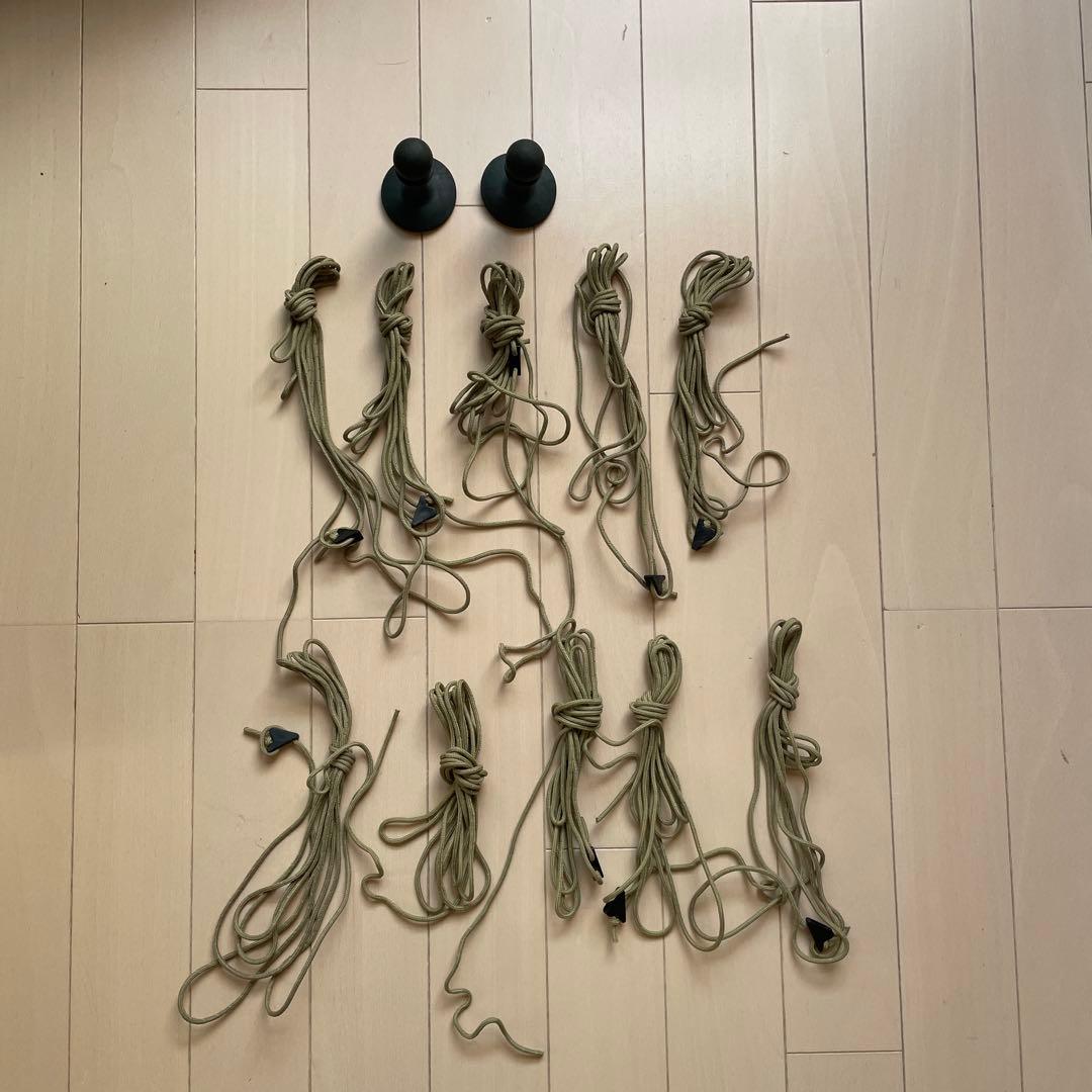 ワンティグリス　ソロホームステッド　One tigris