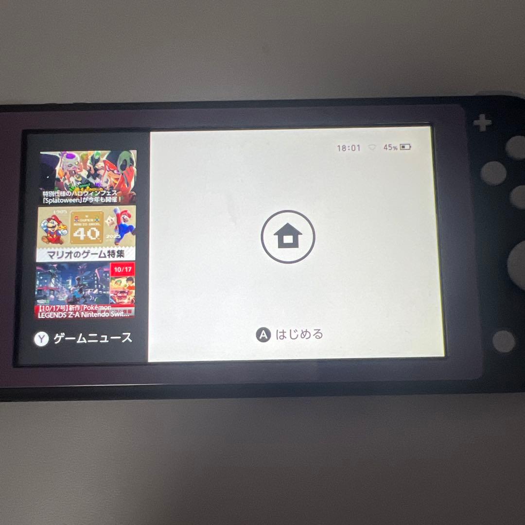 Nintendo Switch Lite グレー/