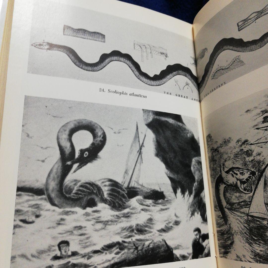 洋書 In the Wake of Sea-Serpents/Heuvelmans