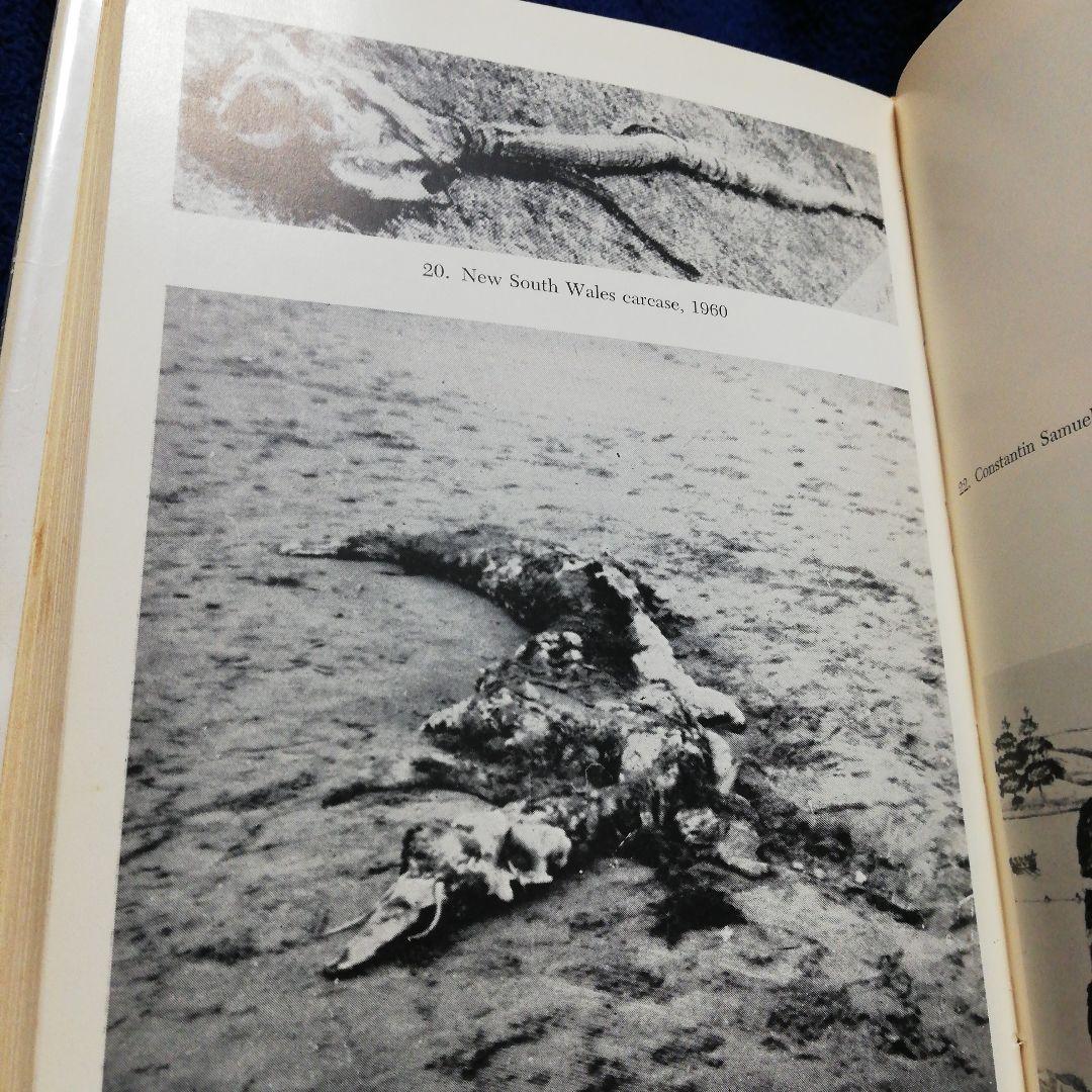 洋書 In the Wake of Sea-Serpents/Heuvelmans