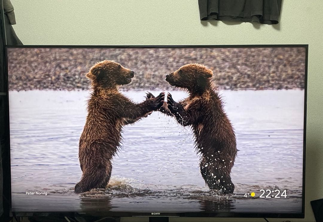 SONY BRAVIA XRJ-50X90J 50インチ ソニー ブラビア