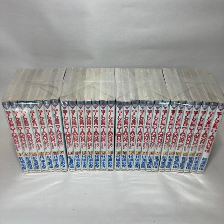 シルバーダイアモンド　⭐︎美品⭐︎ silver diamond