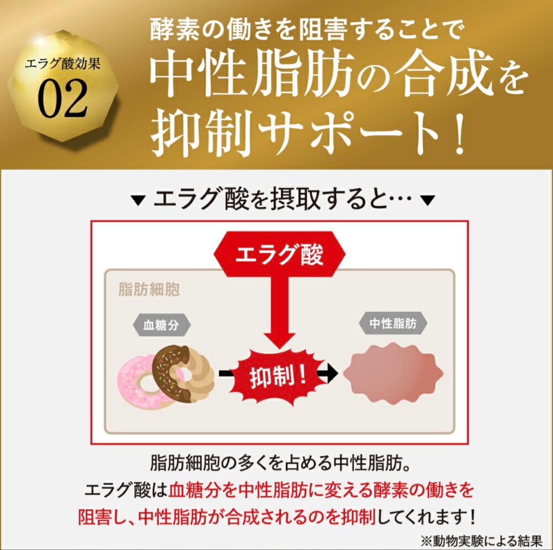 【サムシングさん専用】KILLER BURNER II ダイエットサプリ