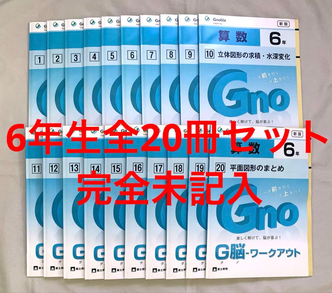 全20冊未記入/極美品★6年生算数グノーブルG脳グノワークアウトGWO/浜学園希