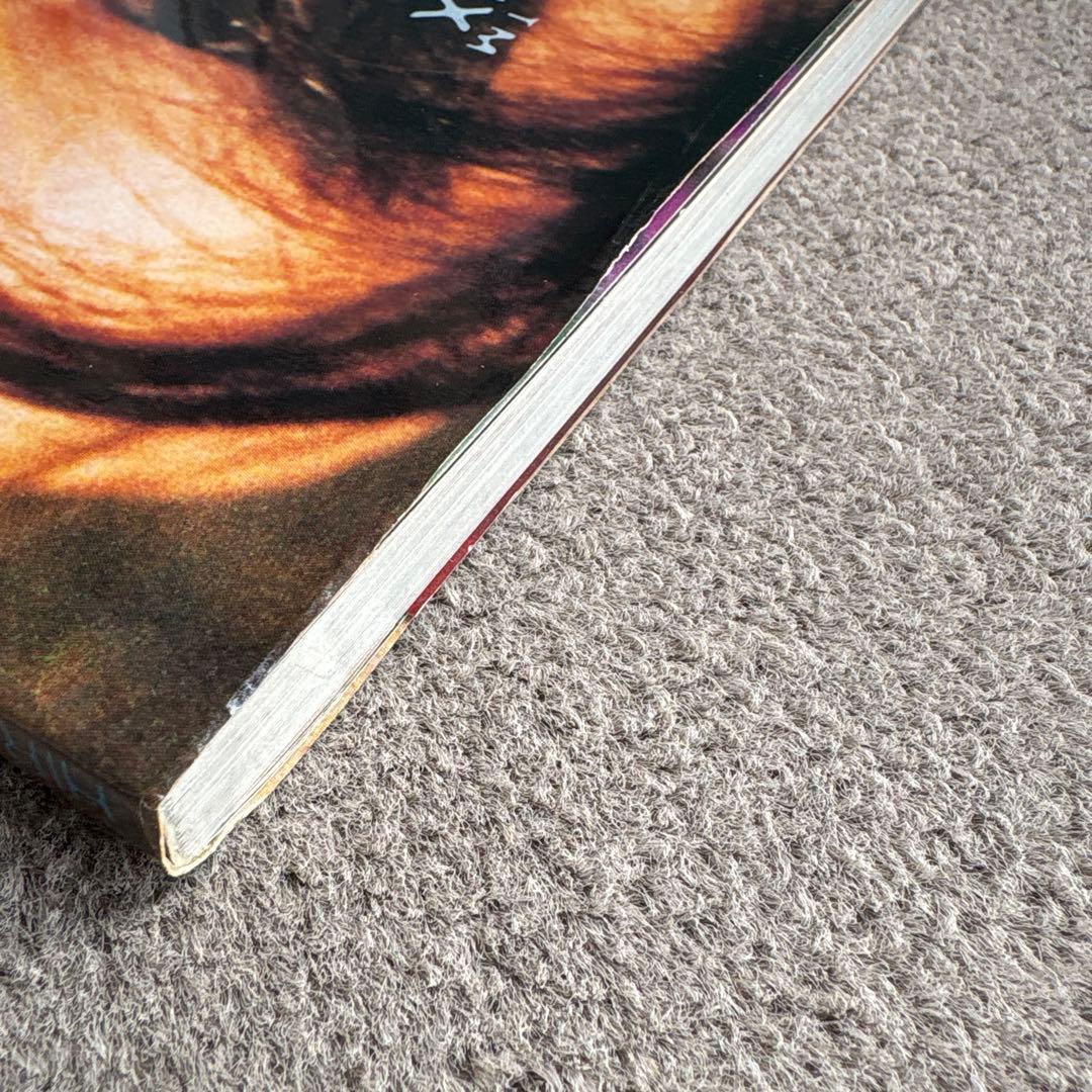 ヒロミックス　HIROMIX girls blue 写真集