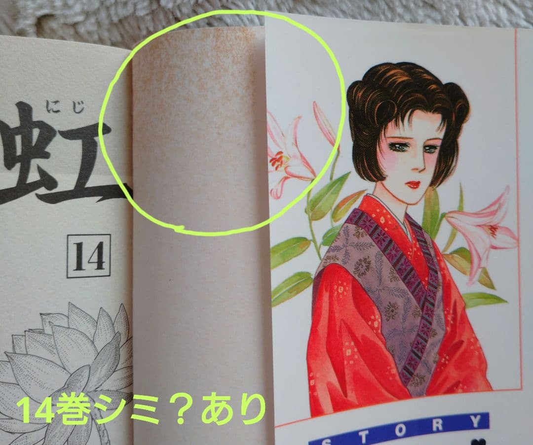 「天上の虹」全 23巻セット【5巻、9〜23巻初版】　里中満智子