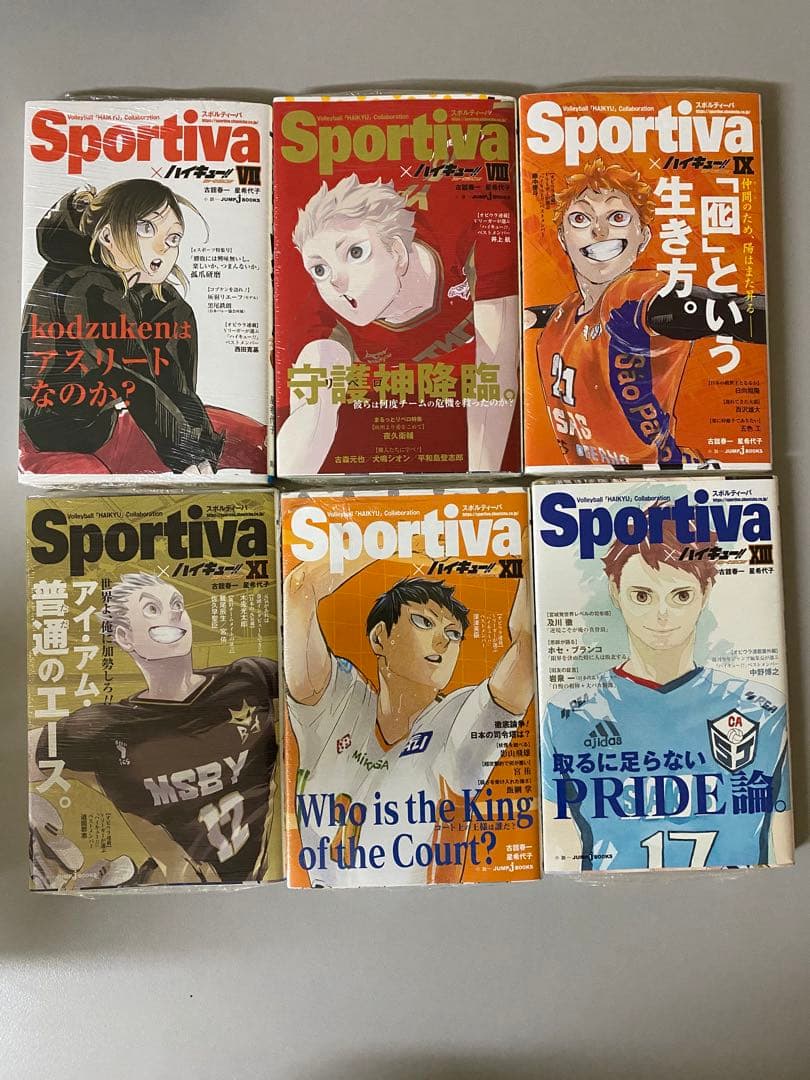ハイキューショーセツバンSportiva 小説本体とビジュアルボードのセット