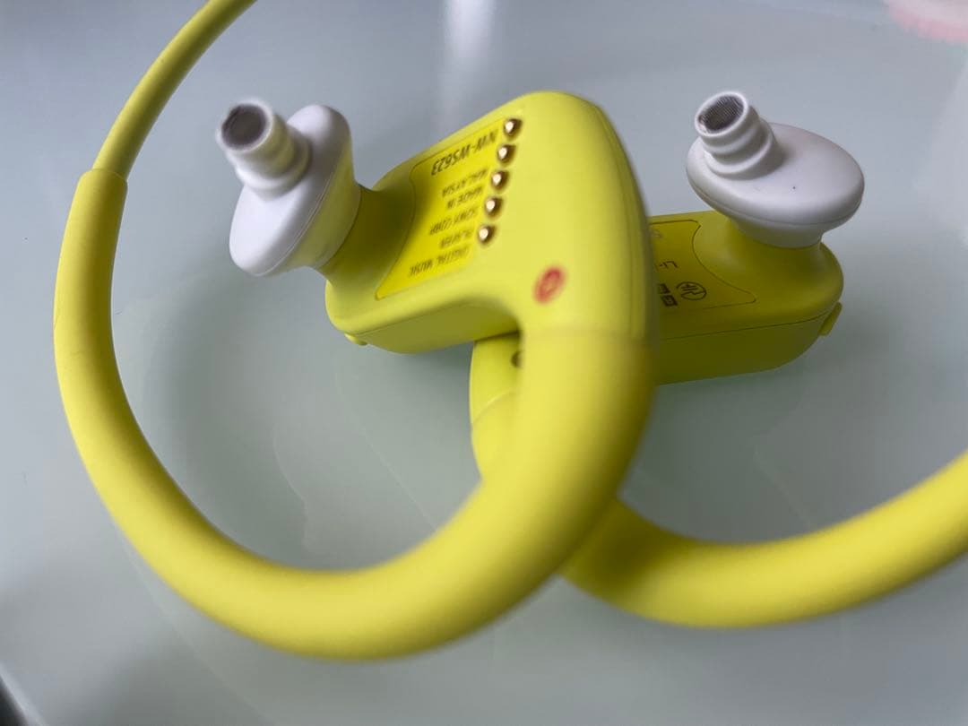 ソニー ヘッドホン一体型ウォークマン Wシリーズ NW-WS623 本体