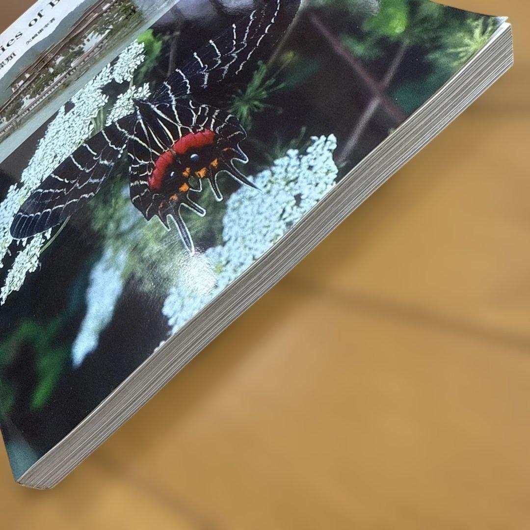 ブータンの蝶類 : Butterflies of Bhutan