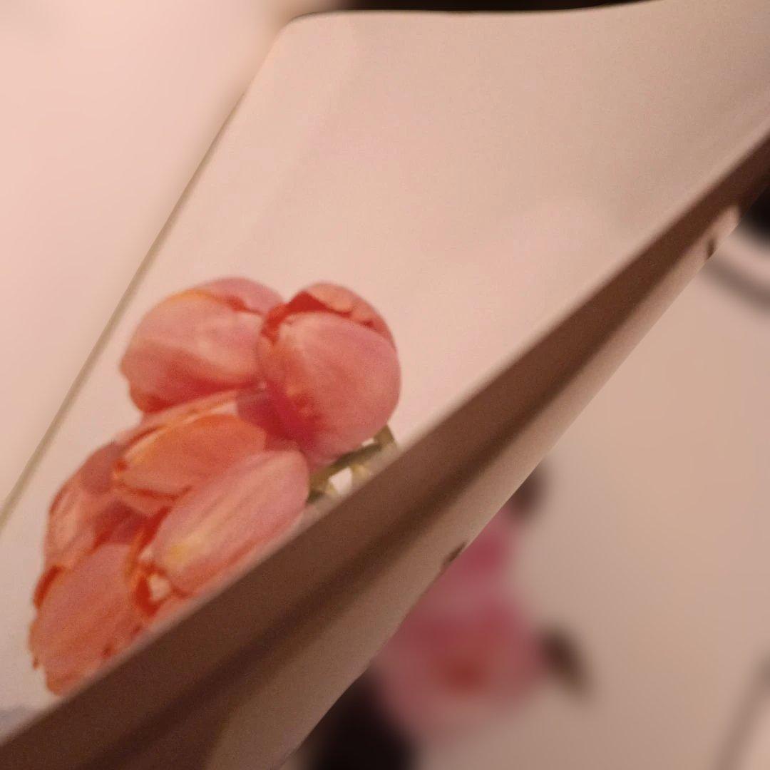 上田義彦写真集「Flowers」 伊藤俊治 光琳社 1997年初版