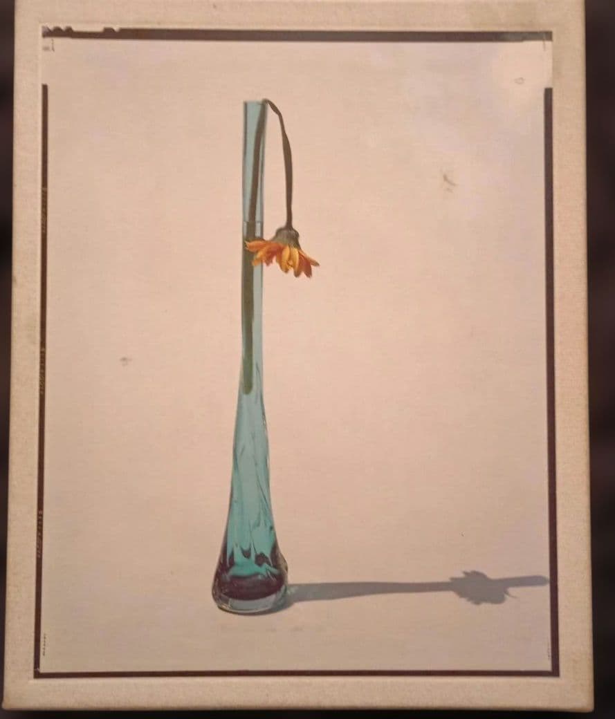 上田義彦写真集「Flowers」 伊藤俊治 光琳社 1997年初版