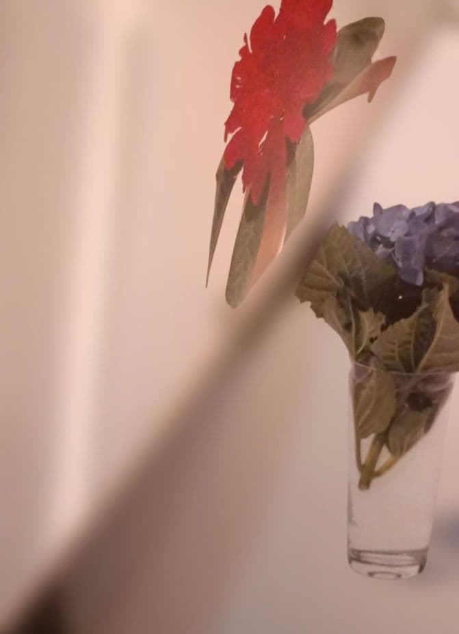 上田義彦写真集「Flowers」 伊藤俊治 光琳社 1997年初版