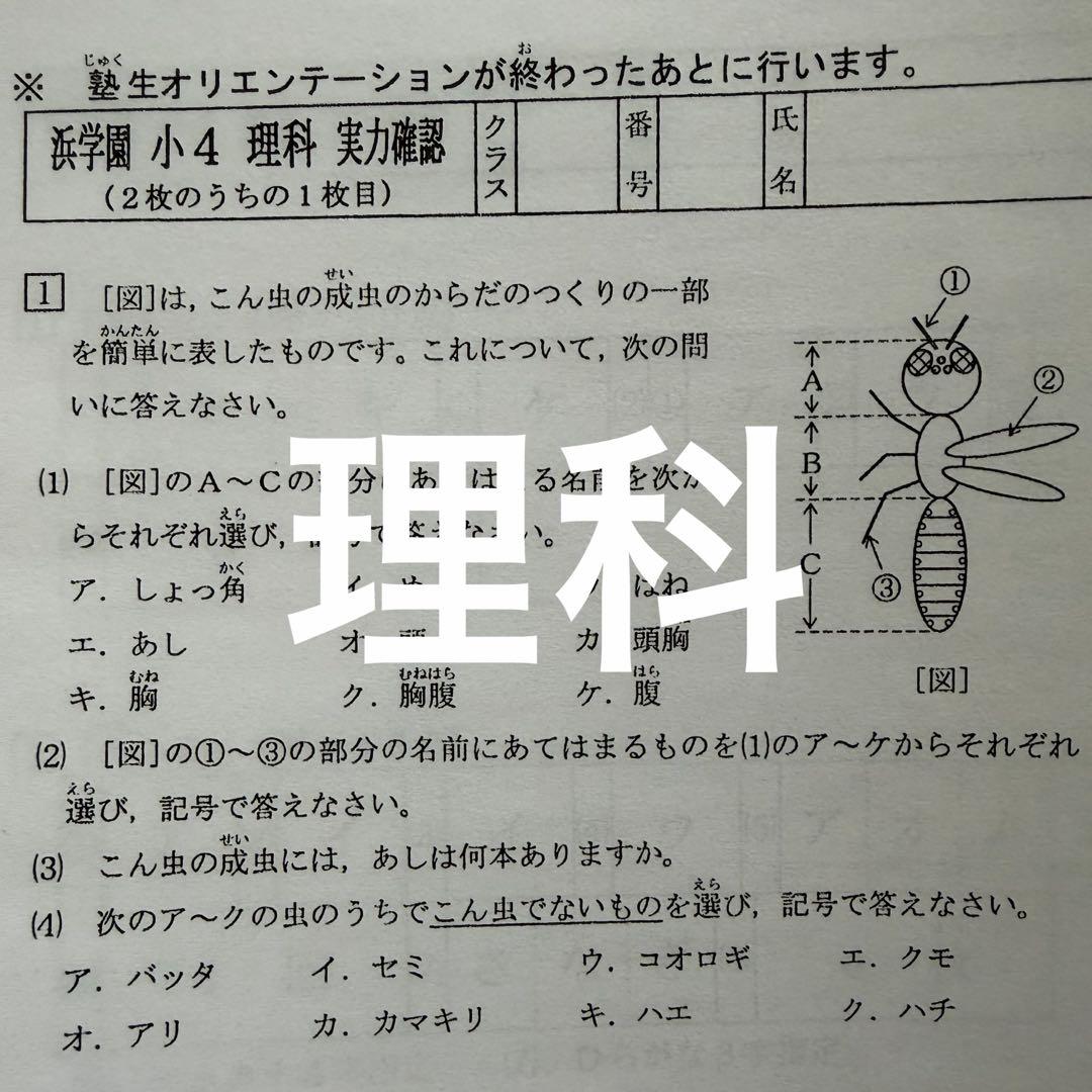 浜学園 2023年度 小4 復習テスト Vクラス 算数 国語 理科　即発送