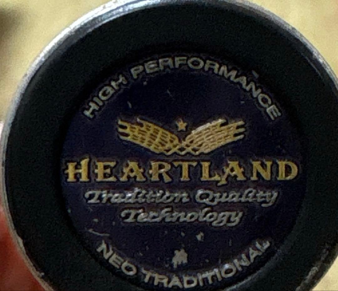 ダイワ ハートランドZ 6101MLFS-SV 冴掛-SAEGAKE-