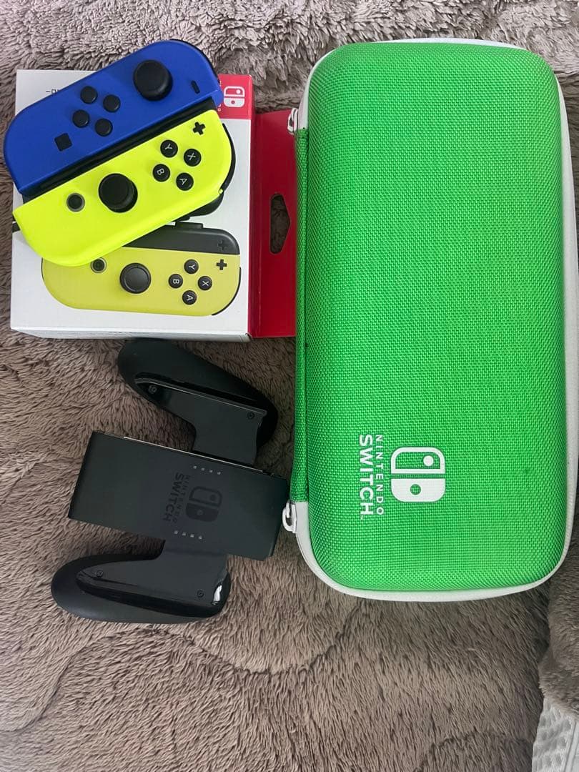 Nintendo Switch 本体 どうぶつの森セット ケースとジョイコン付き