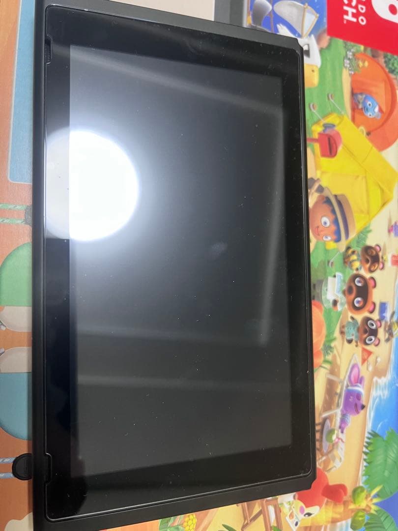 Nintendo Switch 本体 どうぶつの森セット ケースとジョイコン付き