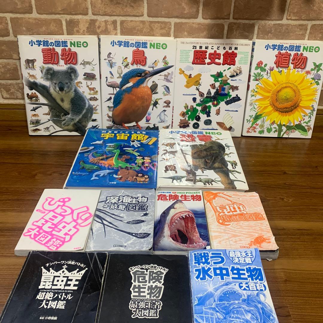 小学館図鑑NEO  セットレア‼️