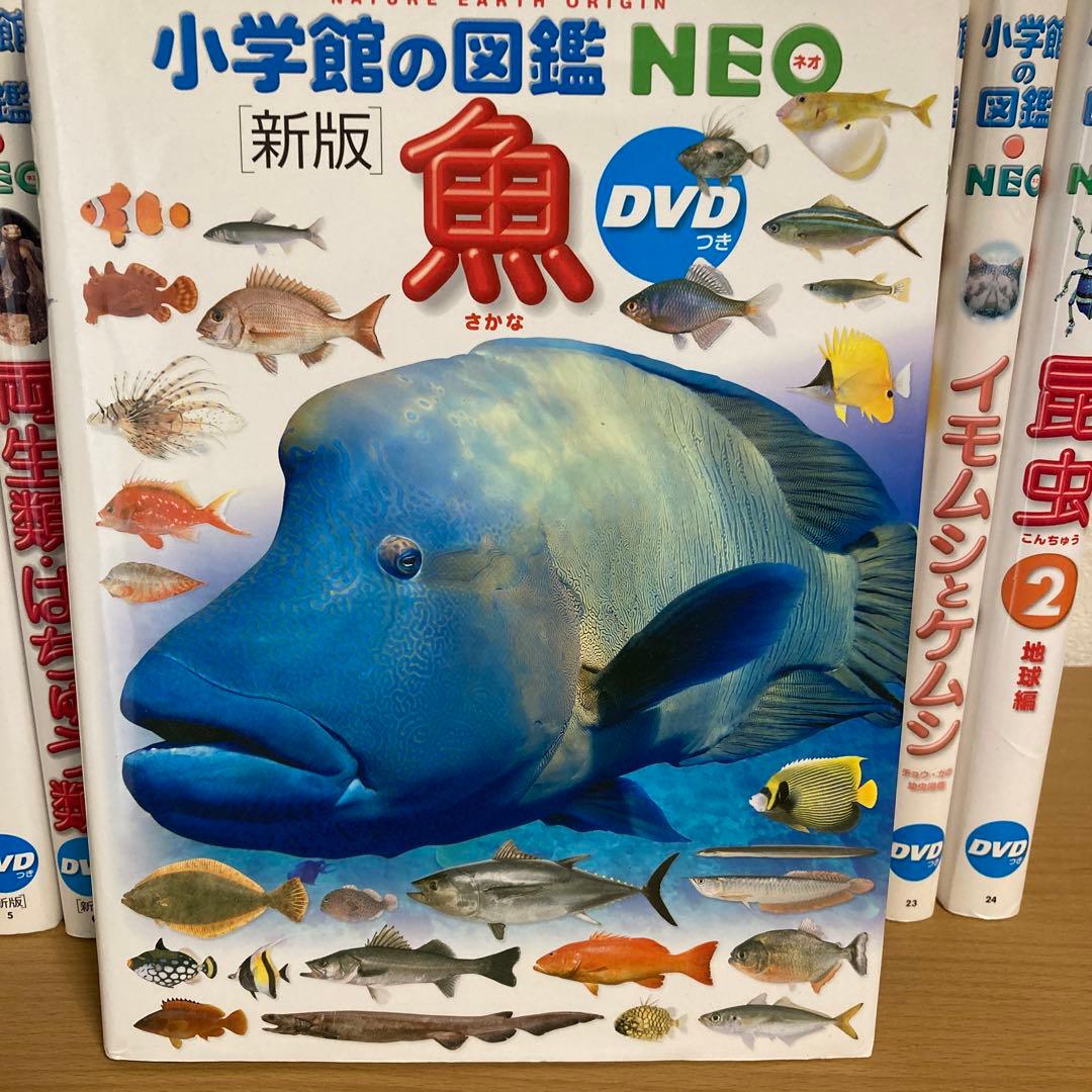 小学館の図鑑NEO 全14巻 DVD付き