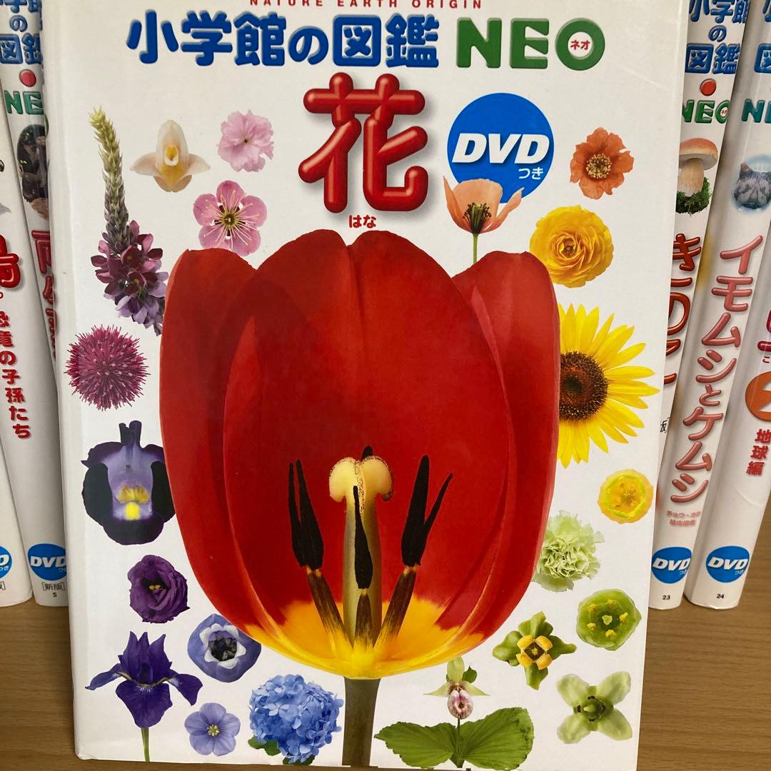 小学館の図鑑NEO 全14巻 DVD付き