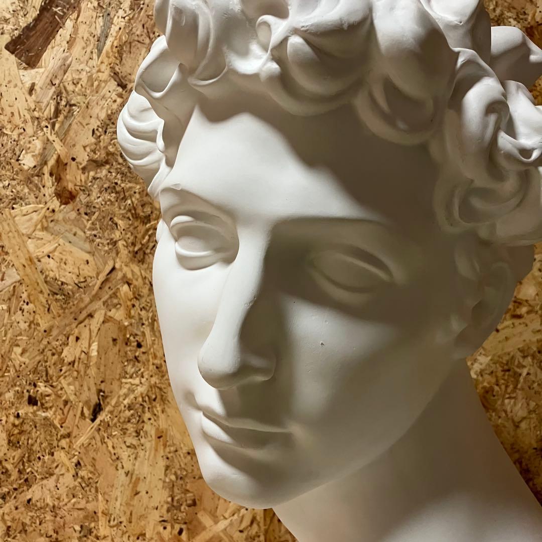 A2B80■デッサン用 石膏像 メディチ 美術 彫刻 オブジェ