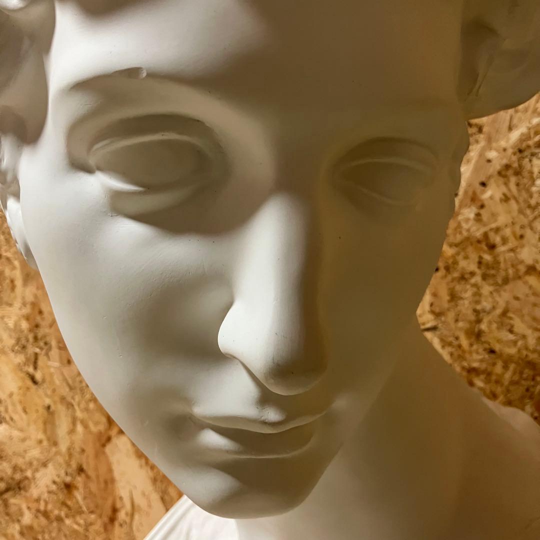 A2B80■デッサン用 石膏像 メディチ 美術 彫刻 オブジェ