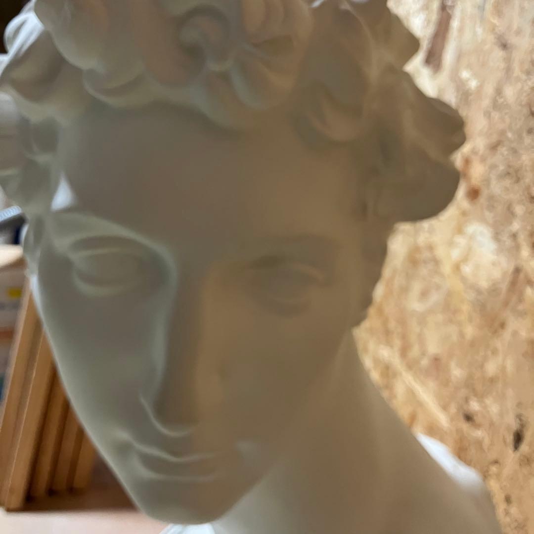 A2B80■デッサン用 石膏像 メディチ 美術 彫刻 オブジェ