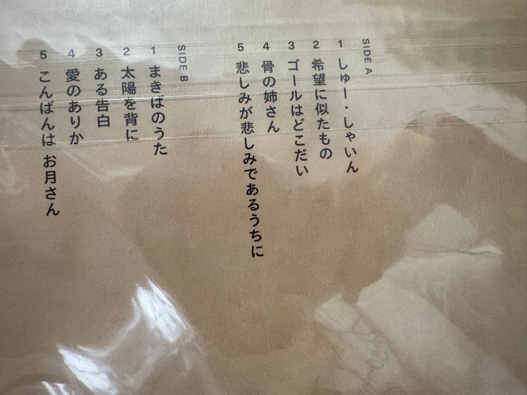 レア新品　寺尾紗穂　レコード　しゅーしゃいん　LP