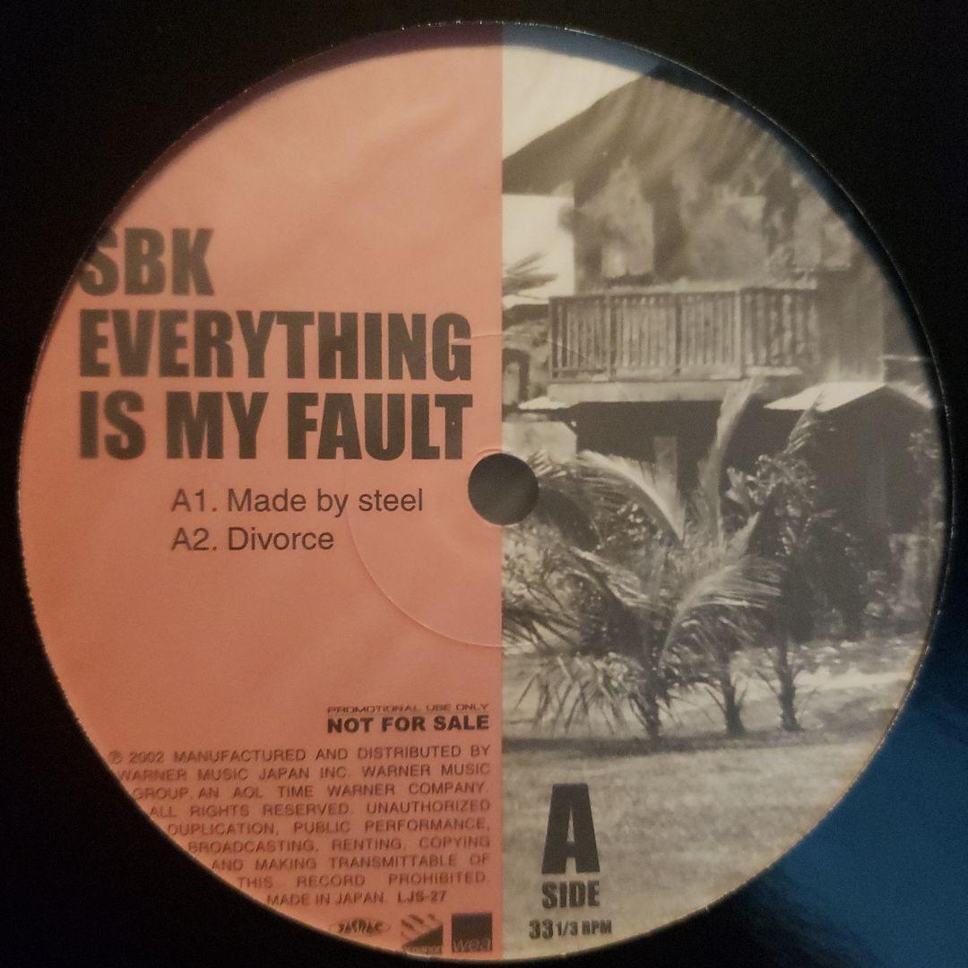 SBK スケボーキング 国内プロモ 非売品