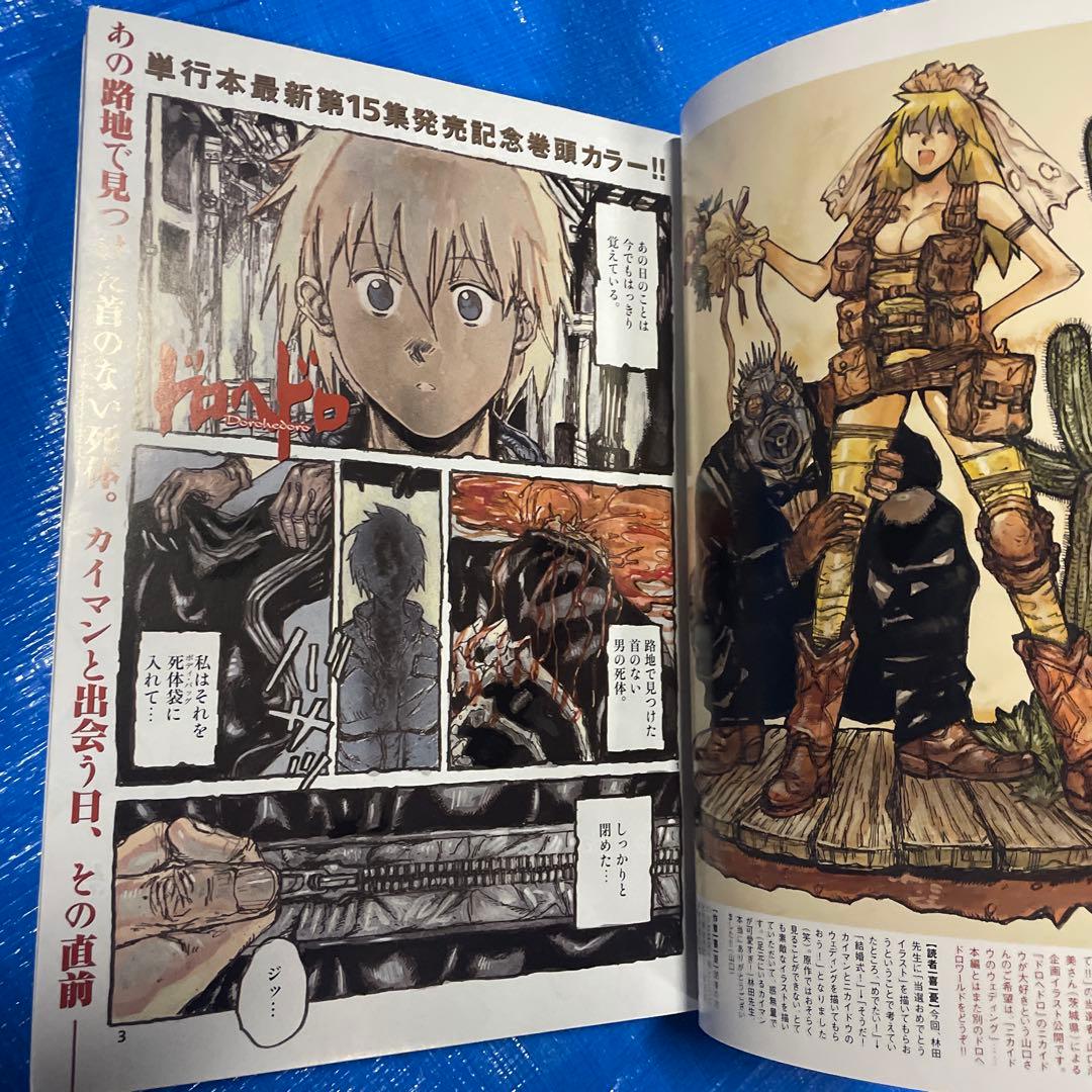 月刊IKKI 月刊イッキ 2011年1月号 ドロヘドロ掲載 青年漫画雑誌