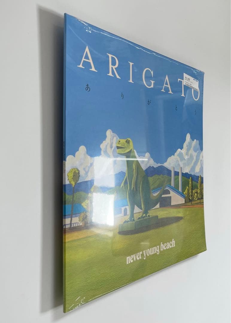 新品 ネバーヤングビーチLPレコード３枚セットnever young beach