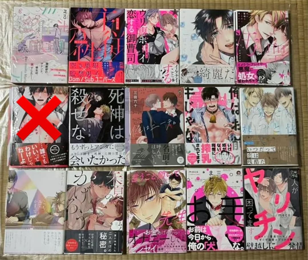 13 BL本まとめ売り　ボーイズラブコミックス　BOYS LOVE COMICS