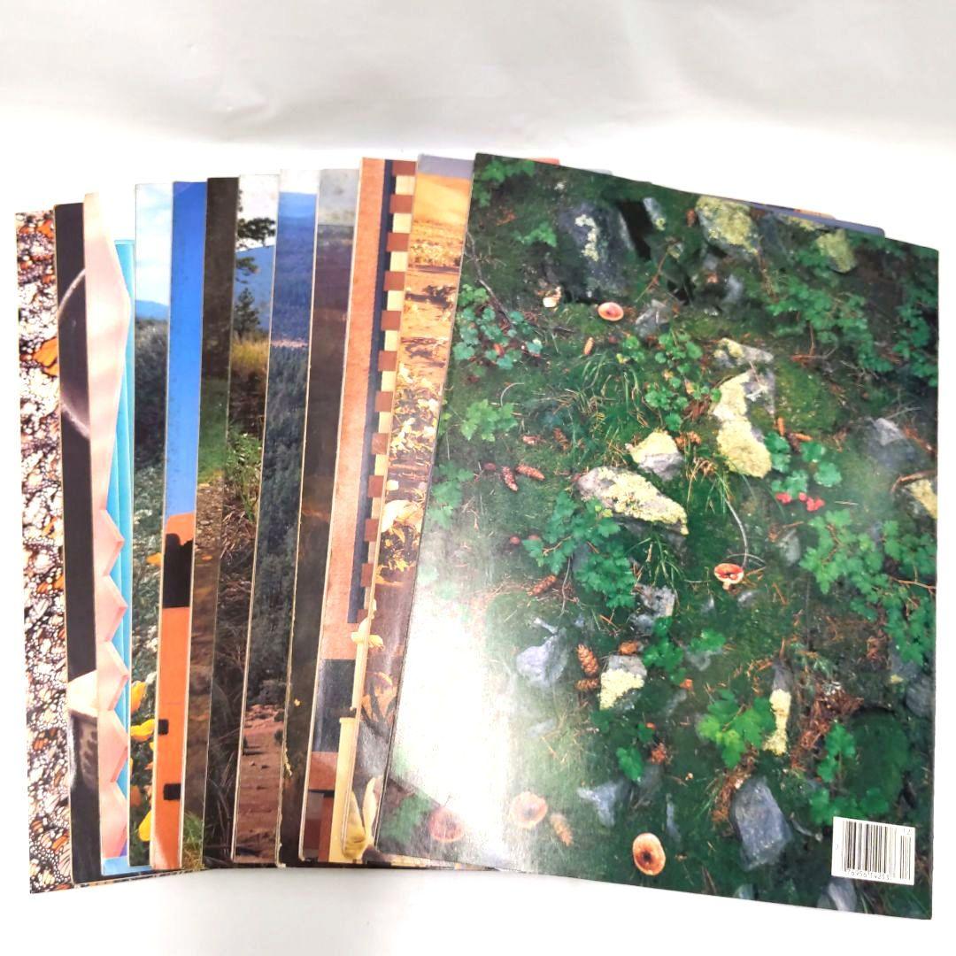 ARIZONA HIGHWAYS 1984年 1年分 アリゾナ 雑誌 アメリカ