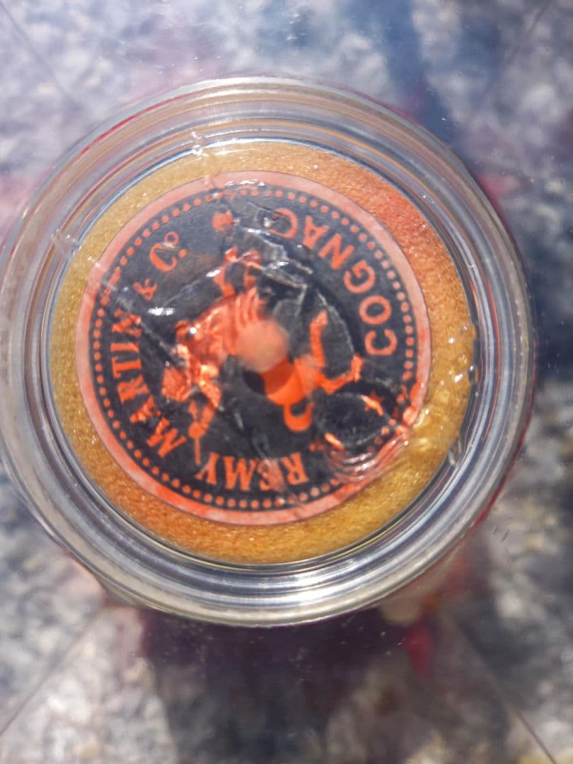 REMY MARTIN LOUIS XIII 750ml 専用ケース付き