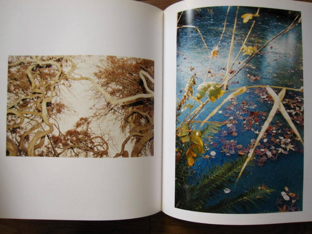 Do You Know What I Mean　Juergen Teller