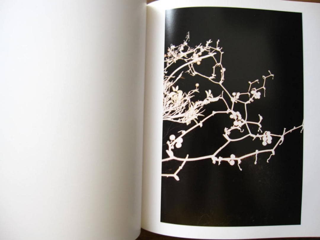 Do You Know What I Mean　Juergen Teller