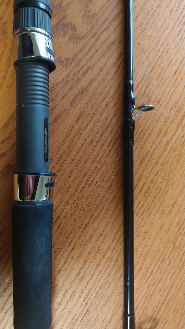 （送料込み）ダイワ　ディープゾーンx 120-210