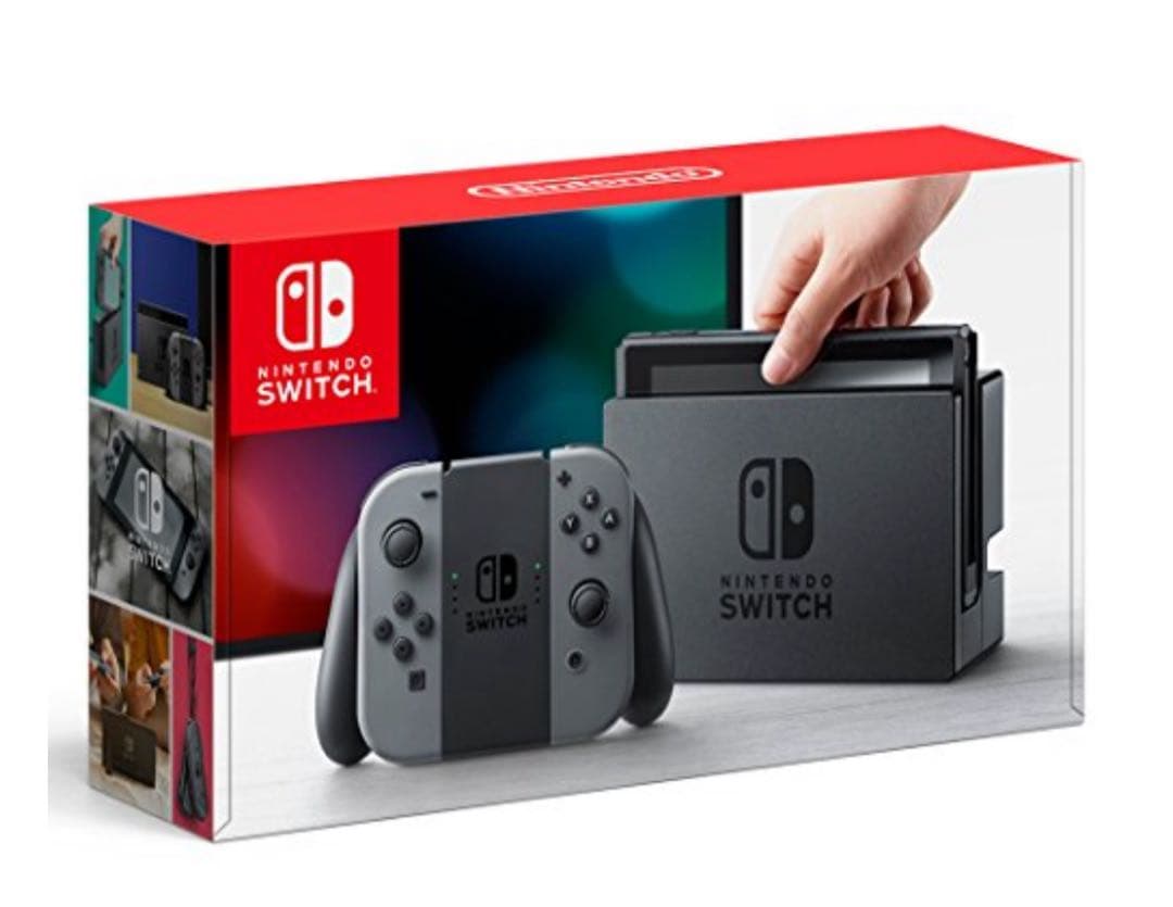 Nintendo Switch 本体 グレー(付属品付き)