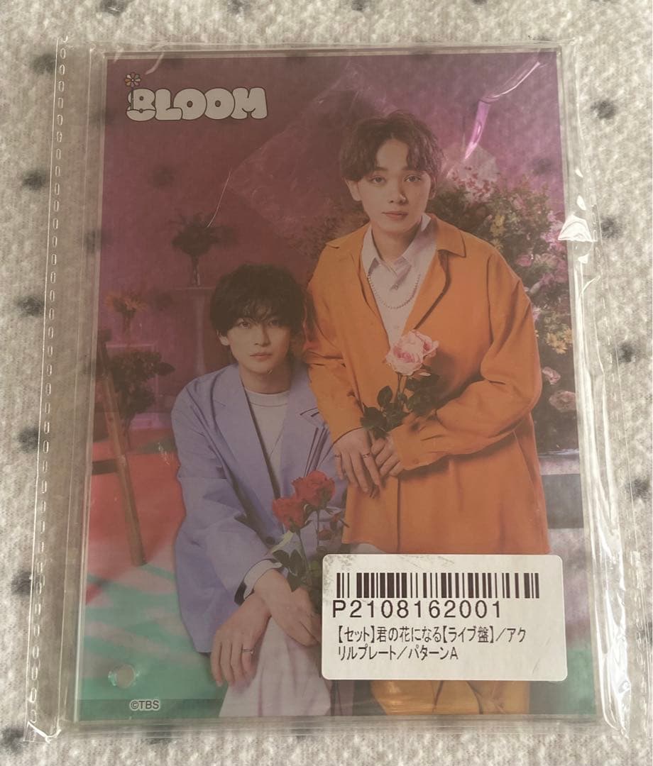 君の花になるLet's 8LOOM LIVE TOUR～DVD アクリルプレート