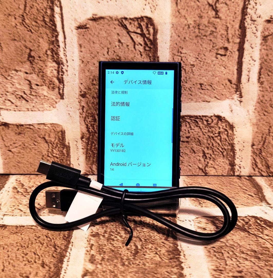 SONY NW-A307 ブルー