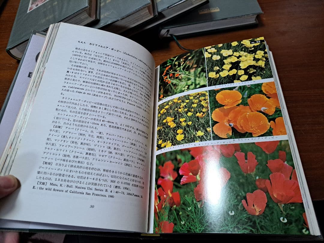 【激レア】原色園芸植物図鑑 1~5セット！　保育社