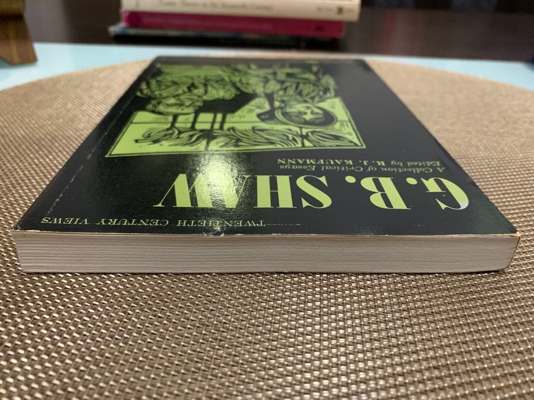 希少1965 A Collection of Critical Essays