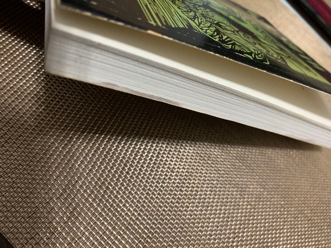 希少1965 A Collection of Critical Essays