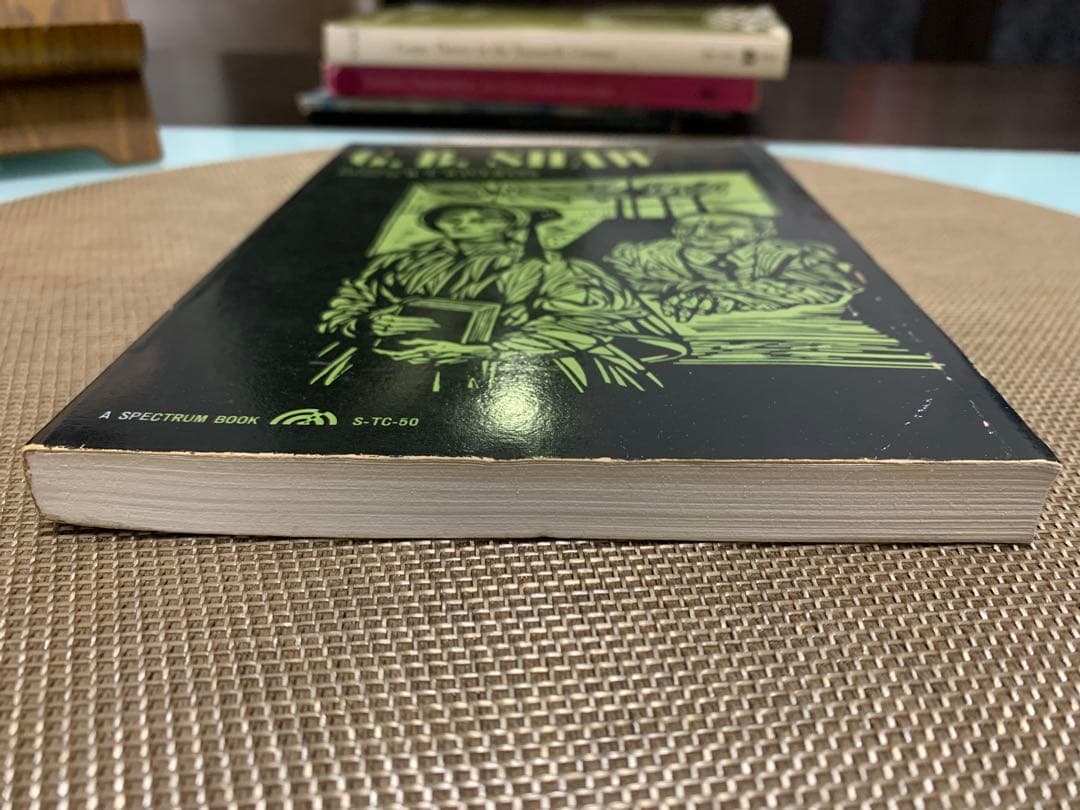 希少1965 A Collection of Critical Essays