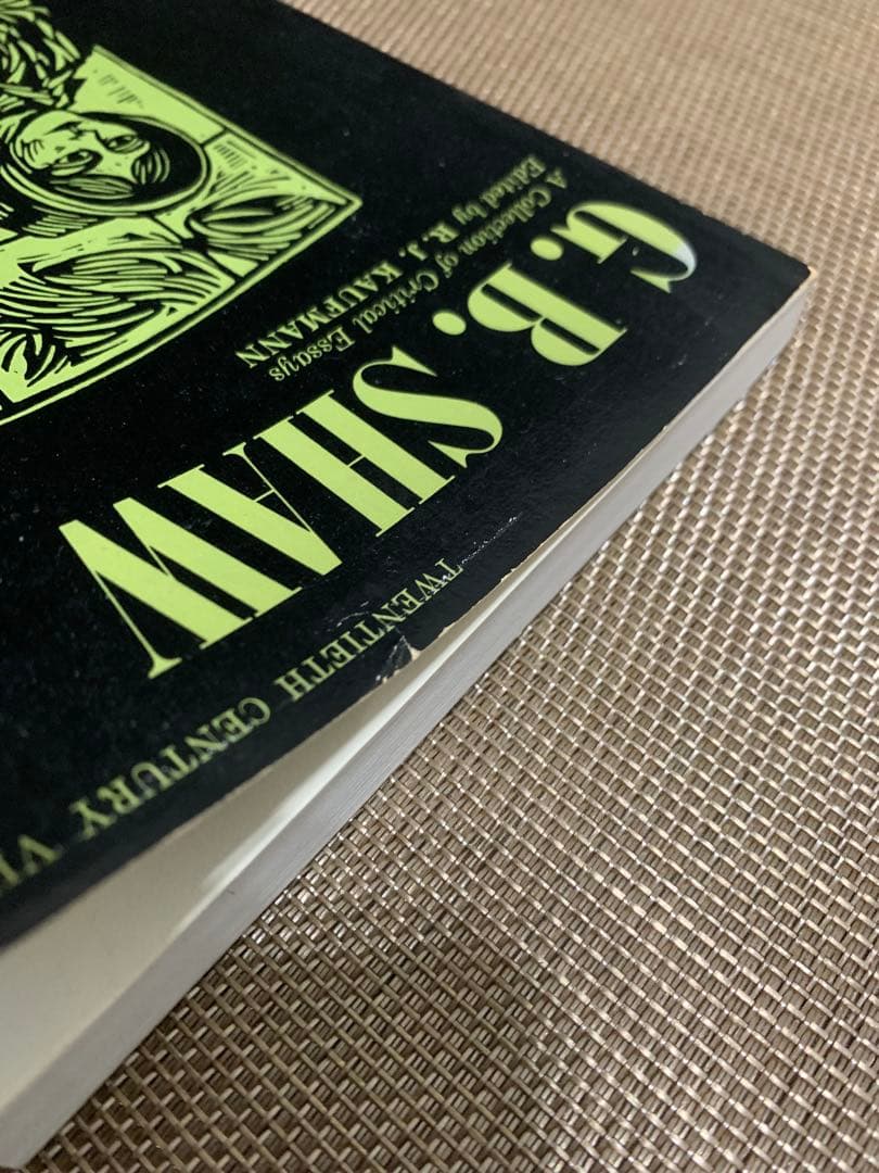 希少1965 A Collection of Critical Essays