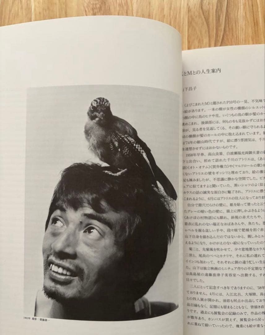 山下菊二展 Kikuji Yamashita 図録 1996年