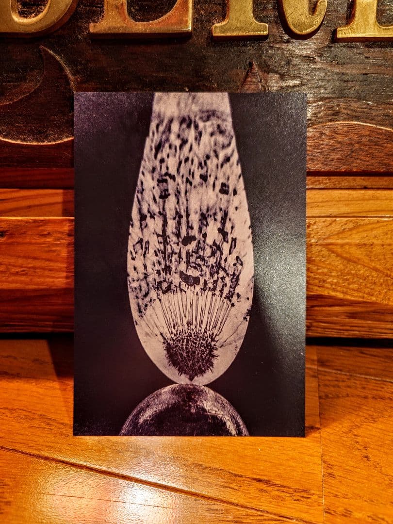 志人×ON TODA 意図的迷子 レコード LP＋書籍2冊