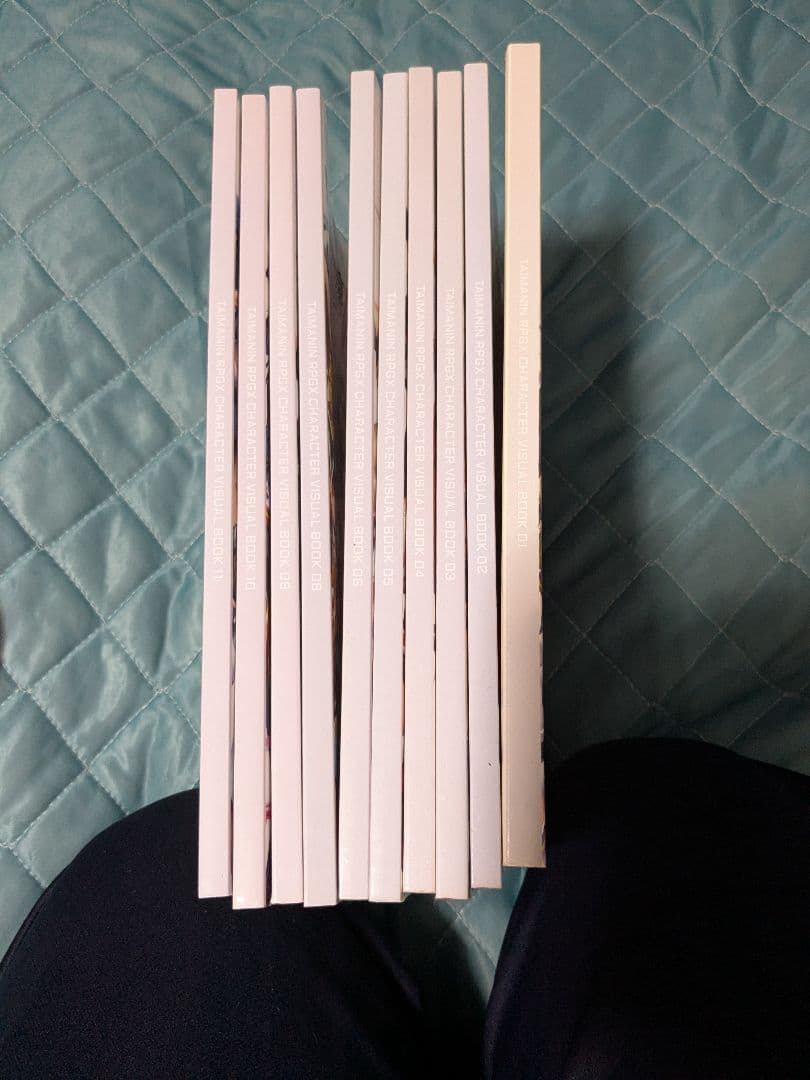 わ*び様 対魔忍キャラクタービジュアルブック01〜11